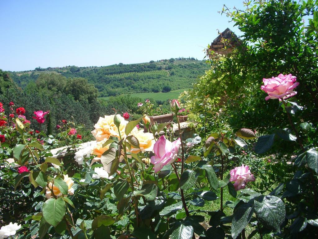 Torraccia Di Chiusi Agriturismo Relais San Gimignano Kültér fotó