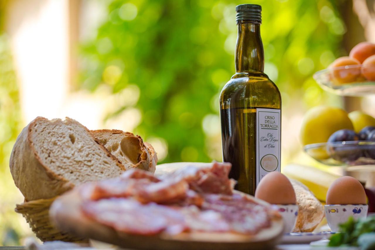 Torraccia Di Chiusi Agriturismo Relais San Gimignano Kültér fotó