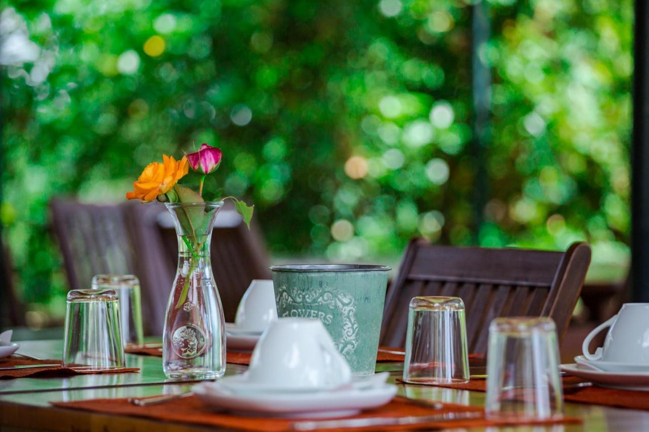 Torraccia Di Chiusi Agriturismo Relais San Gimignano Kültér fotó