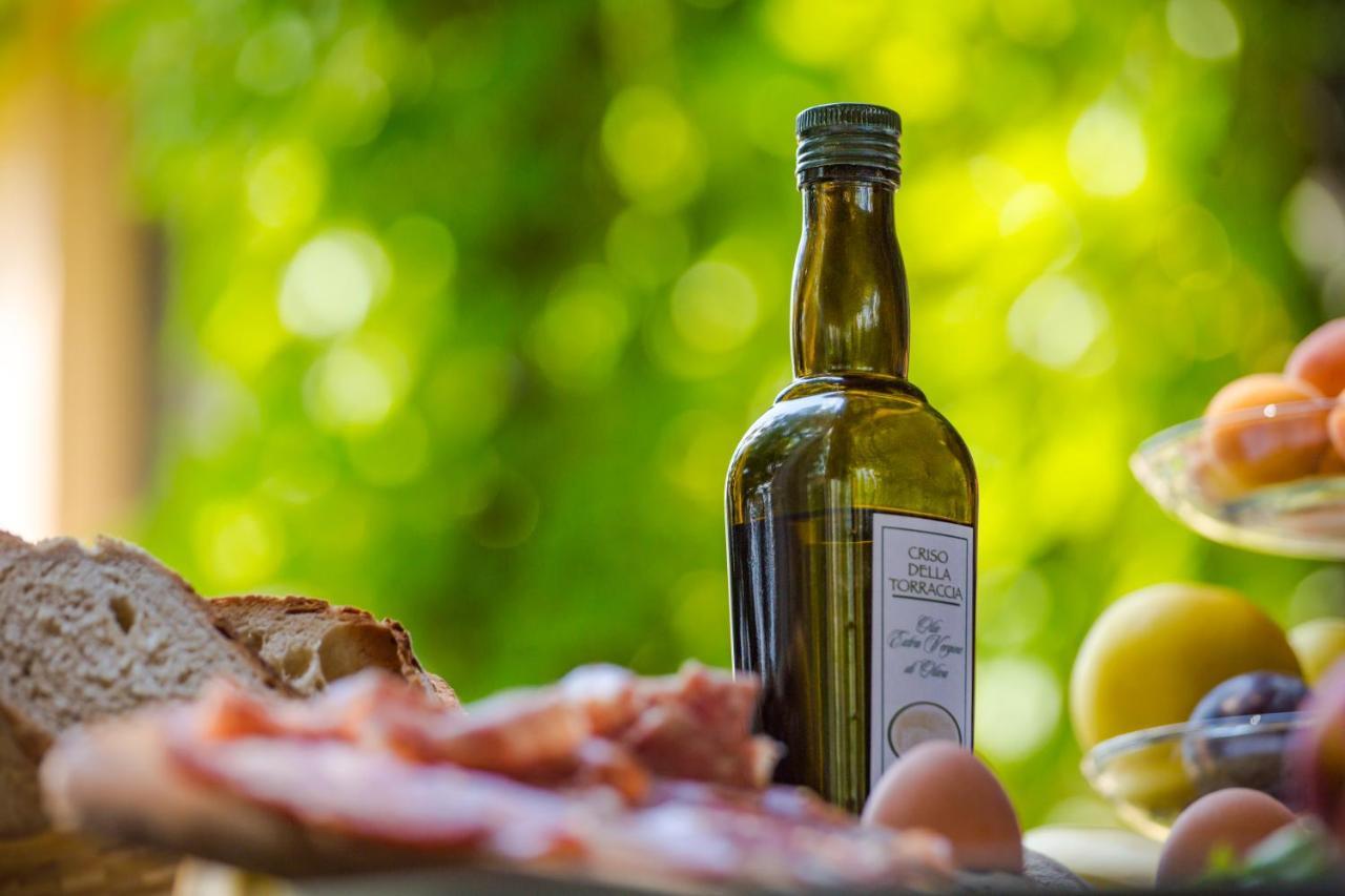 Torraccia Di Chiusi Agriturismo Relais San Gimignano Kültér fotó