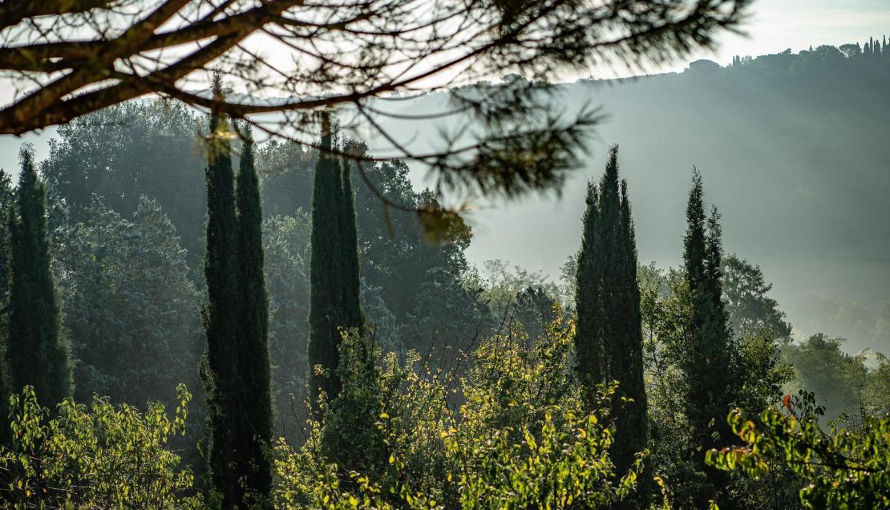 Torraccia Di Chiusi Agriturismo Relais San Gimignano Kültér fotó